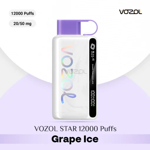 VOZOL STAR 12000 Puffs Grape Ice Available in Dubai