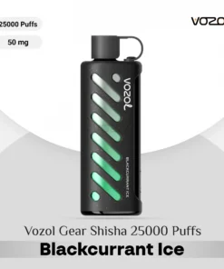 Get Vozol Gear Shisha 25000 Blackcurrant Ice in Dubai