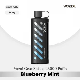 Blueberry Mint flavour