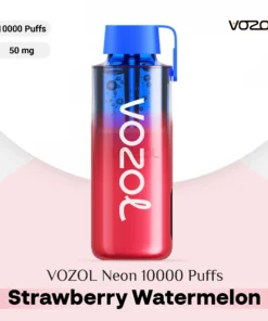 VOZOL NEON 10000 Puffs Strawberry Watermelon