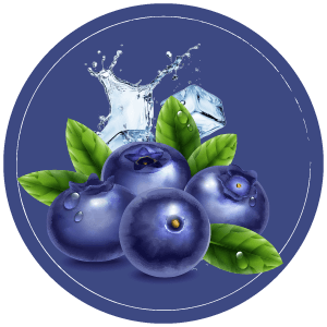 Vozol Blue Razz Ice in Abu dhabi