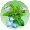 Miami Mint flavour