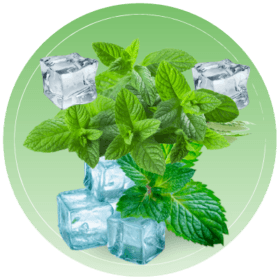 Miami Mint flavour
