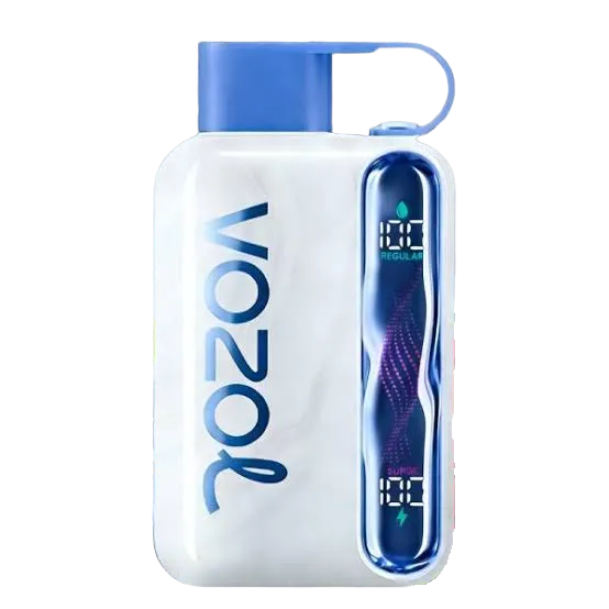 Vozol Star 40000 Puffs Blueberry Watermelon disposable vape device in Dubai
