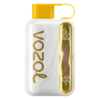 Vozol Star 40000 Puffs Mango Ice Vape Dubai UAE