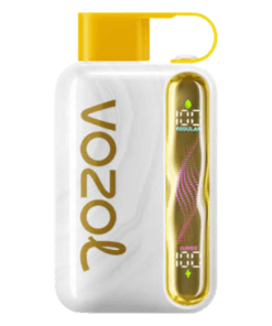 Vozol Star 40000 Puffs Mango Ice Vape Dubai UAE
