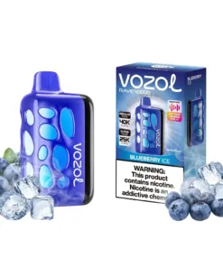 Vozol Rave 40K Blueberry Ice